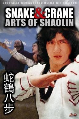 Snake and Crane Arts of Shaolin ศึกบัญญัติ 8 พญายม